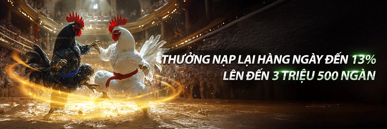 Đá Gà C1 Ngày 20 Tháng 6 - Trận đấu kịch tính